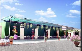 Coco Island Con Phung